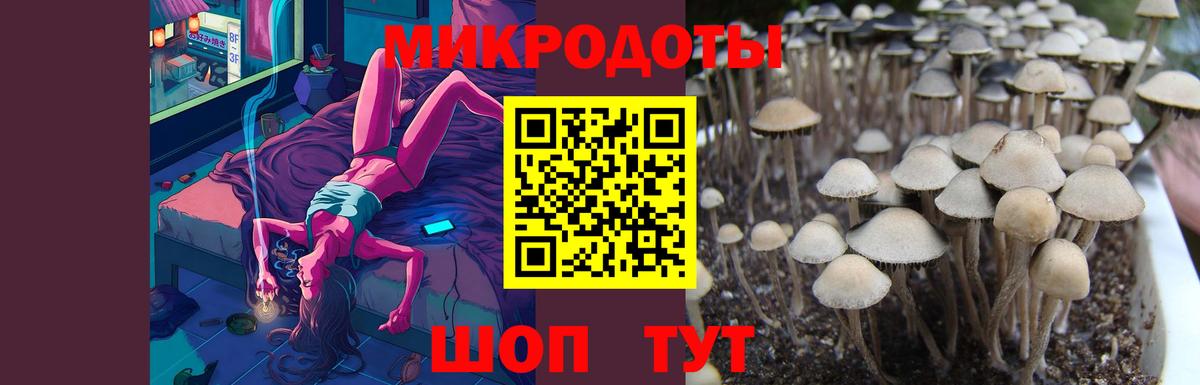 Галлюциногенные грибы Cubensis Бердск