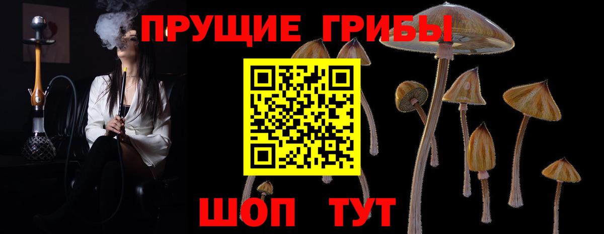 Галлюциногенные грибы Psilocybe  Вход с VPN  Бердск 